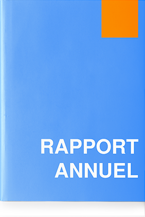 Rapport annuel 2013