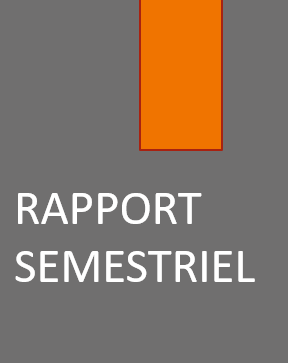 Rapport financier semestriel au 30 Juin 2020