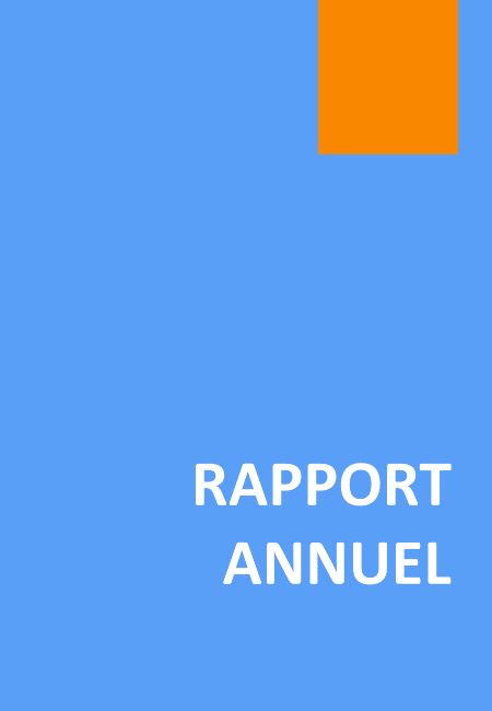 Rapport Financier Annuel 2022