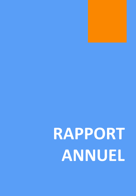 Rapport Financier Annuel 2025